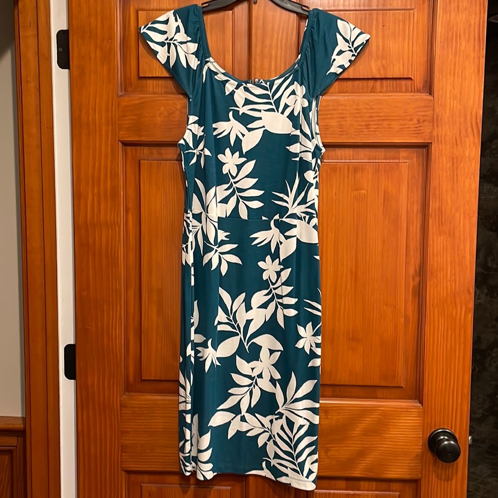 Brand new never worn without tags size large Womens dress